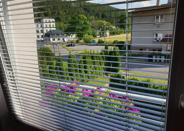 Adr100 *